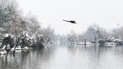 冬日雪后扬州瘦西湖，没去过只看一眼都怦然心动