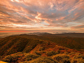 摄影与摄像 从静态到动态的艺术探索